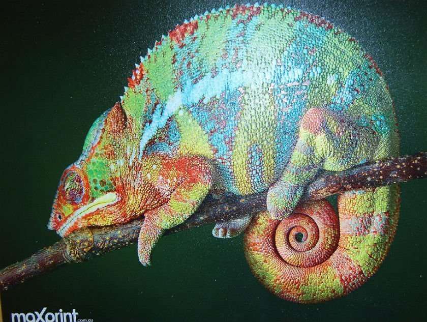 textured3D-printing